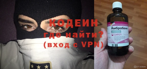 шишки Белокуриха