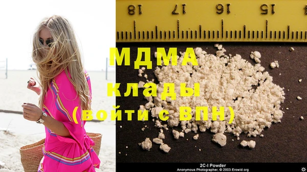 шишки Белокуриха