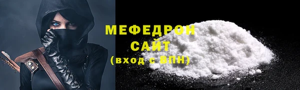 шишки Белокуриха