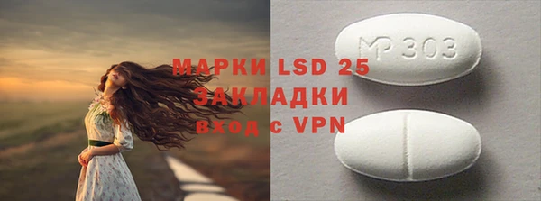 шишки Белокуриха