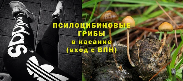 шишки Белокуриха