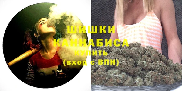 шишки Белокуриха