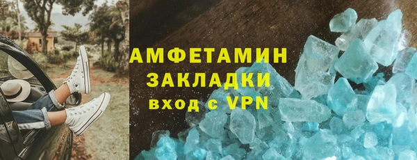 шишки Белокуриха