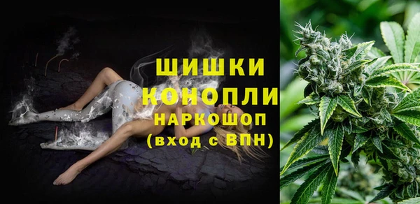шишки Белокуриха