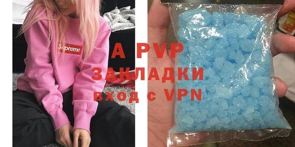 шишки Белокуриха