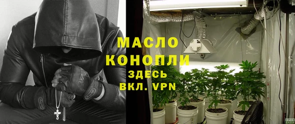шишки Белокуриха